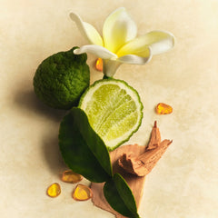 Scent Layering Trio - Scent Muse Everyday Harmony